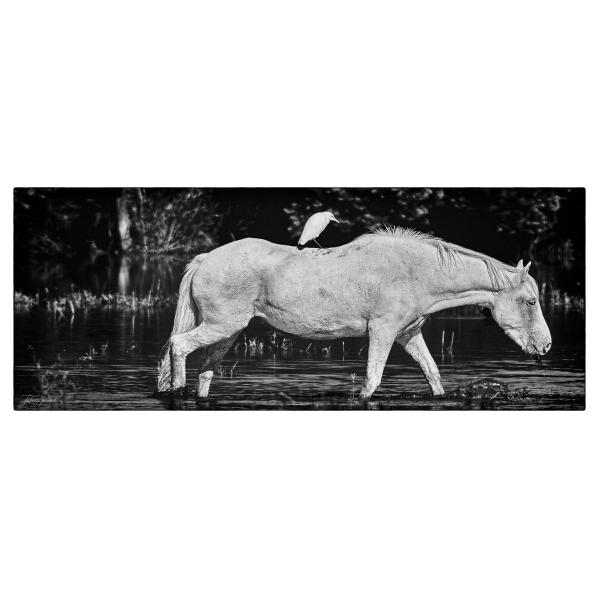 PHOTO84, CLUB, 84 , LUBERON